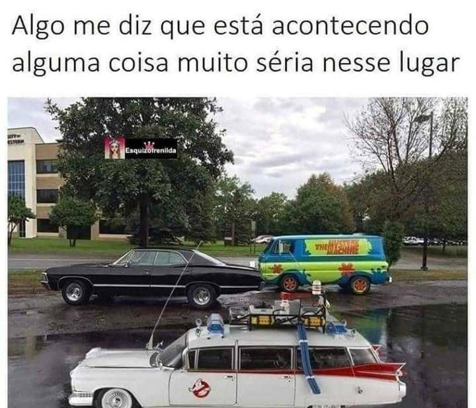 Roberto Pereira - Foto 6