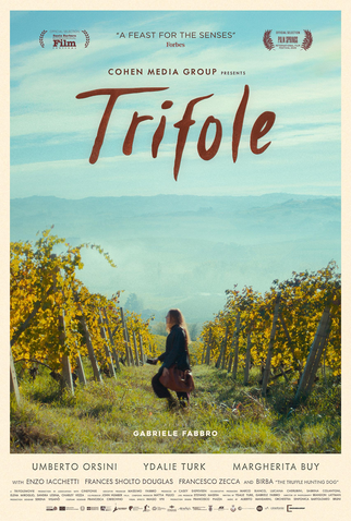 Poster 1 de Filme Trifole (2024)