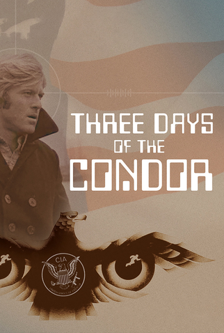 Poster 15 de Filme Três Dias do Condor (1975)