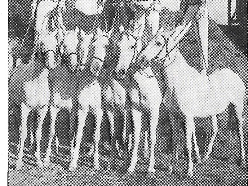 Foto 1 de Acusação Injusta