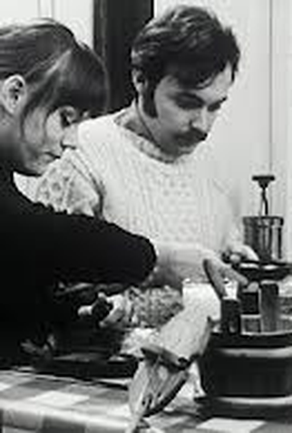 Poster 1 de Curta Visiting One's Son (1967)