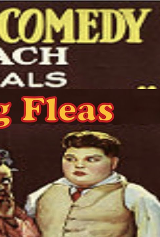 Poster 3 de Curta Thundering Fleas (1926)