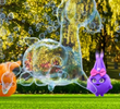 Bubbles