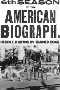 Hurdle Jumping; by Trained Dogs - Poster / Capa / Cartaz - Oficial 1