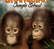 Orangutan Jungle School