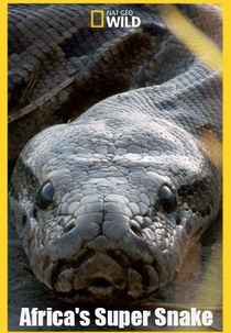 A Cobra Mortal da África (Africa's Super Snake)