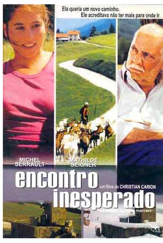 Poster 1 de Filme Encontro Inesperado (2001)