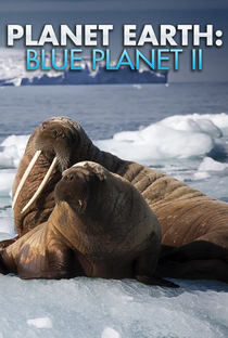 Planeta Azul II - Poster / Capa / Cartaz - Oficial 2
