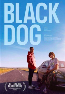 Black Dog (Black Dog)