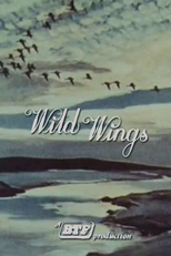 Wild Wings (Wild Wings)