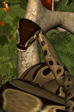 Silent Slumber (Silent Slumber)