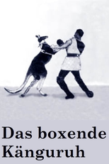 Das boxende Känguruh (Das boxende Känguruh)