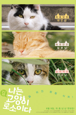 Sou Um Gato (나는 고양이로소이다)