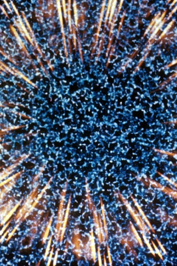 Poster de Curta Chakra (1972)