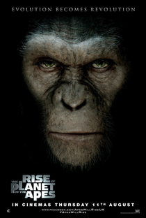Planeta dos Macacos: A Origem - Poster / Capa / Cartaz - Oficial 1