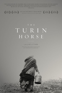 O Cavalo de Turim - Poster / Capa / Cartaz - Oficial 1