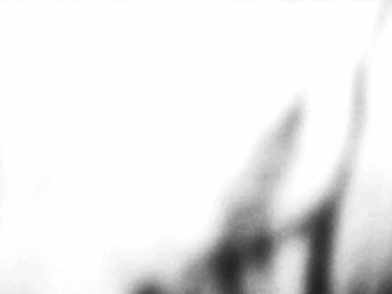 Foto 7 de Mãos Mortas