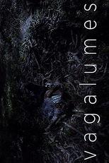 Vagalumes (Vagalumes)