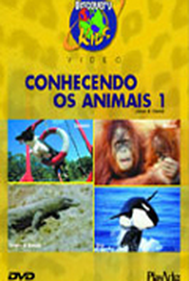 Discovery Kids Video - Conhecendo Os Animais 1 - Poster / Capa / Cartaz - Oficial 2