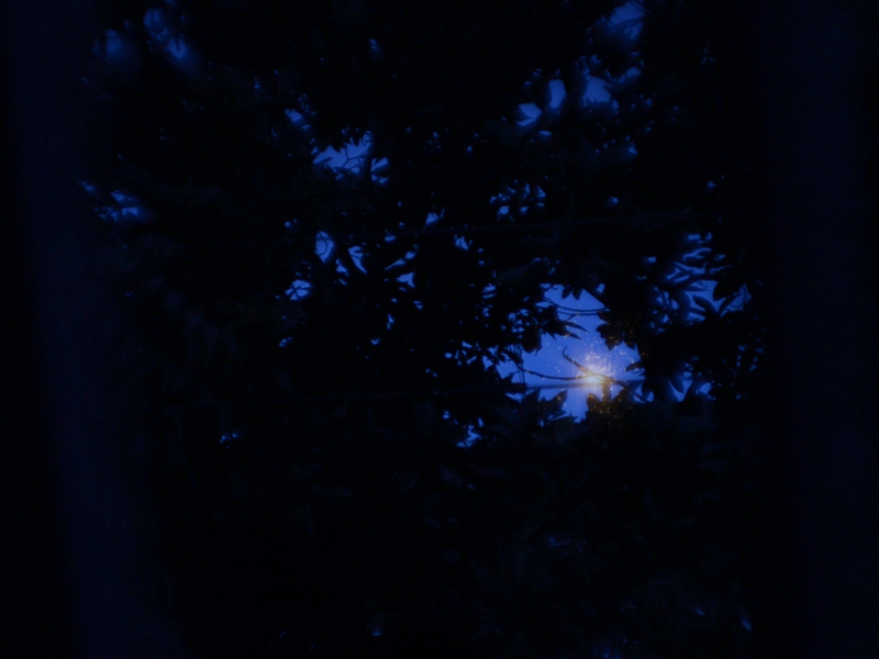 Foto 2 de Adventício