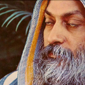 Foto de perfil de MIMDUS