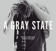 A Gray State