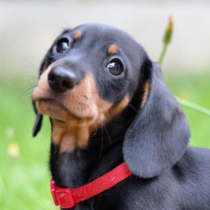 Foto de perfil de Eduardo