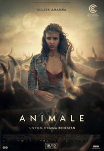 Animale (Animale)