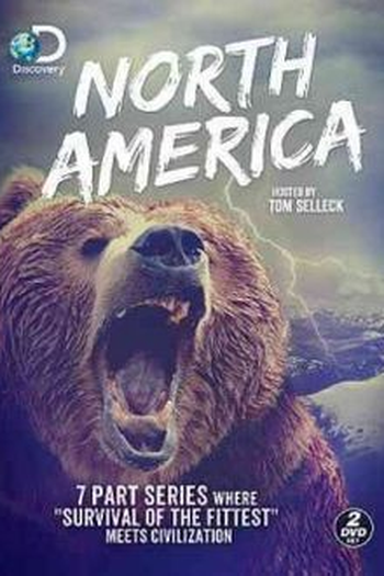  de Série América do Norte (2013)