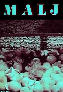 Malj (Malj)