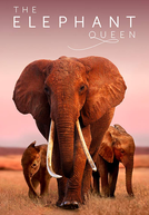 The Elephant Queen (The Elephant Queen)