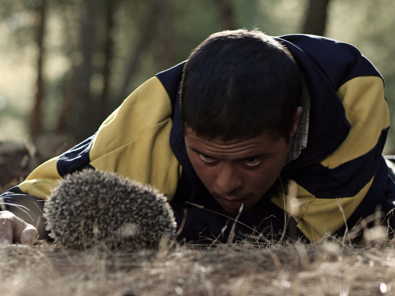 Foto 1 de Sweat Rain