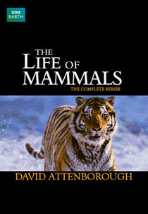 A Vida dos Mamíferos (The Life of Mammals)
