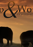 Wild and Woolly: An Elephant and his Sheep (Wild and Woolly: An Elephant and his Sheep)