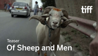 OF SHEEP AND MEN Trailer | TIFF 2017