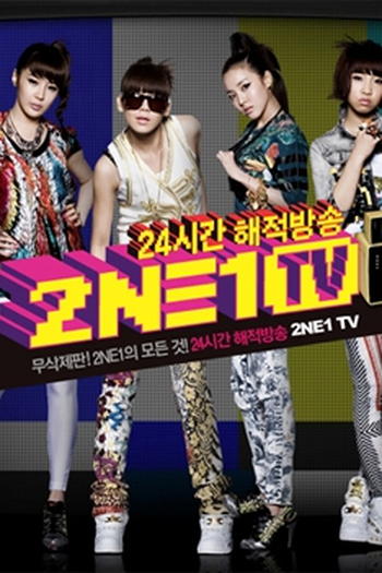 Poster de Série 2ne1 tv (2009)