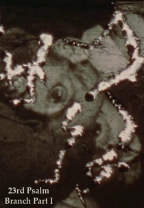 23rd Psalm Branch: Part I (23rd Psalm Branch: Part I)