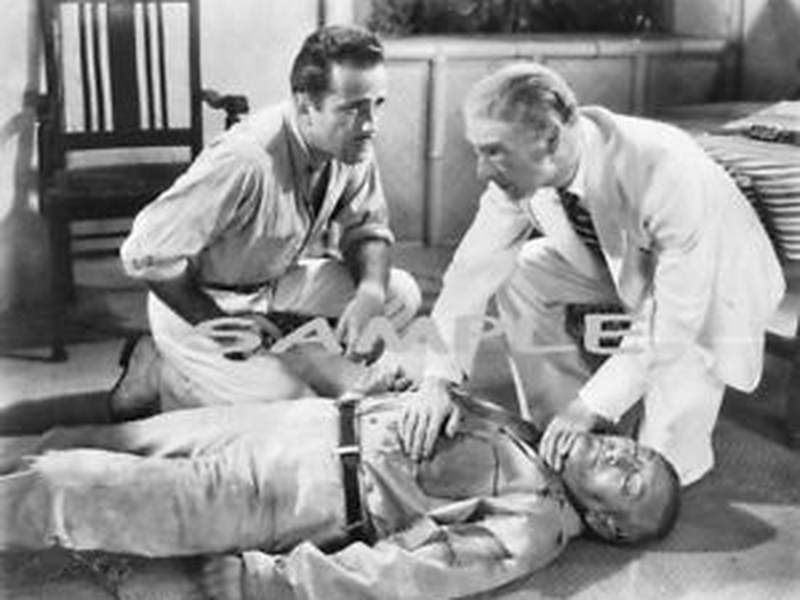 Foto 7 de Ilha da Esperança