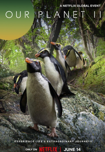 Nosso Planeta (2ª Temporada) (Our Planet (Season 2))