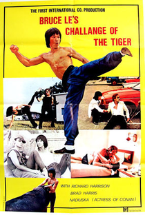 O Desafio do Tigre - Poster / Capa / Cartaz - Oficial 1