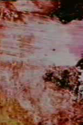 Poster de Curta Prelude 6 (1996)