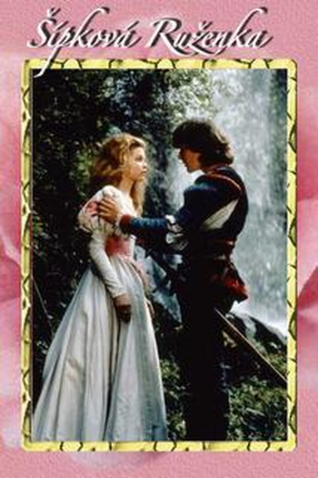 Poster de Filme A Bela Adormecida (1991)