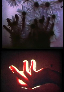 Rouges Silences (Rouges Silences)