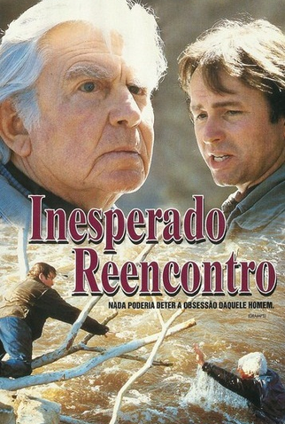 Poster 1 de Filme Inesperado Reencontro (1995)