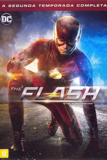 The Flash (2ª Temporada) - Poster / Capa / Cartaz - Oficial 6