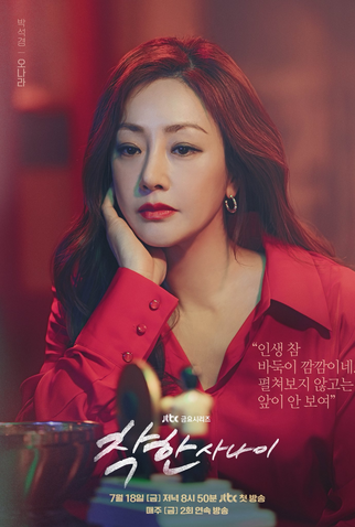 Poster 8 de Série The Nice Guy (2025)