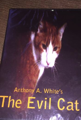 Poster 1 de Filme The Evil Cat (2008)
