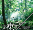 Yakusoku no Neverland