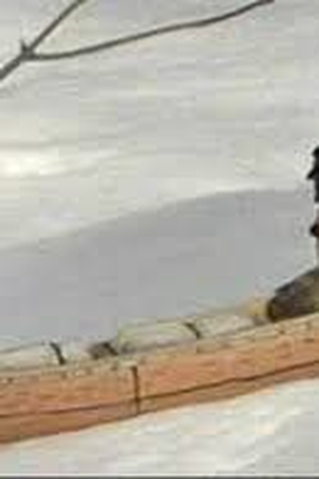  de Filme Paddle to the sea (1966)