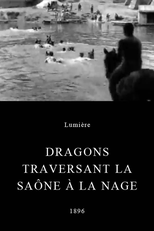 Dragons traversant la Saône à la nage (Dragons traversant la Saône à la nage)